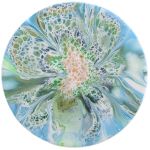 Bloom Paintings
