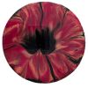 Round Painting 6x6:Poppy 2